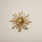 oaani-button-cover-sol